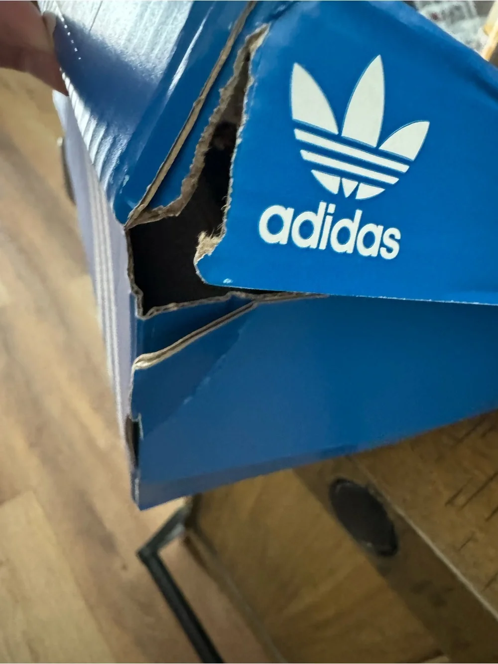NEW Adidas Handball Spezial